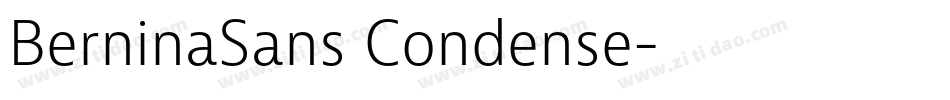 BerninaSans Condense字体转换